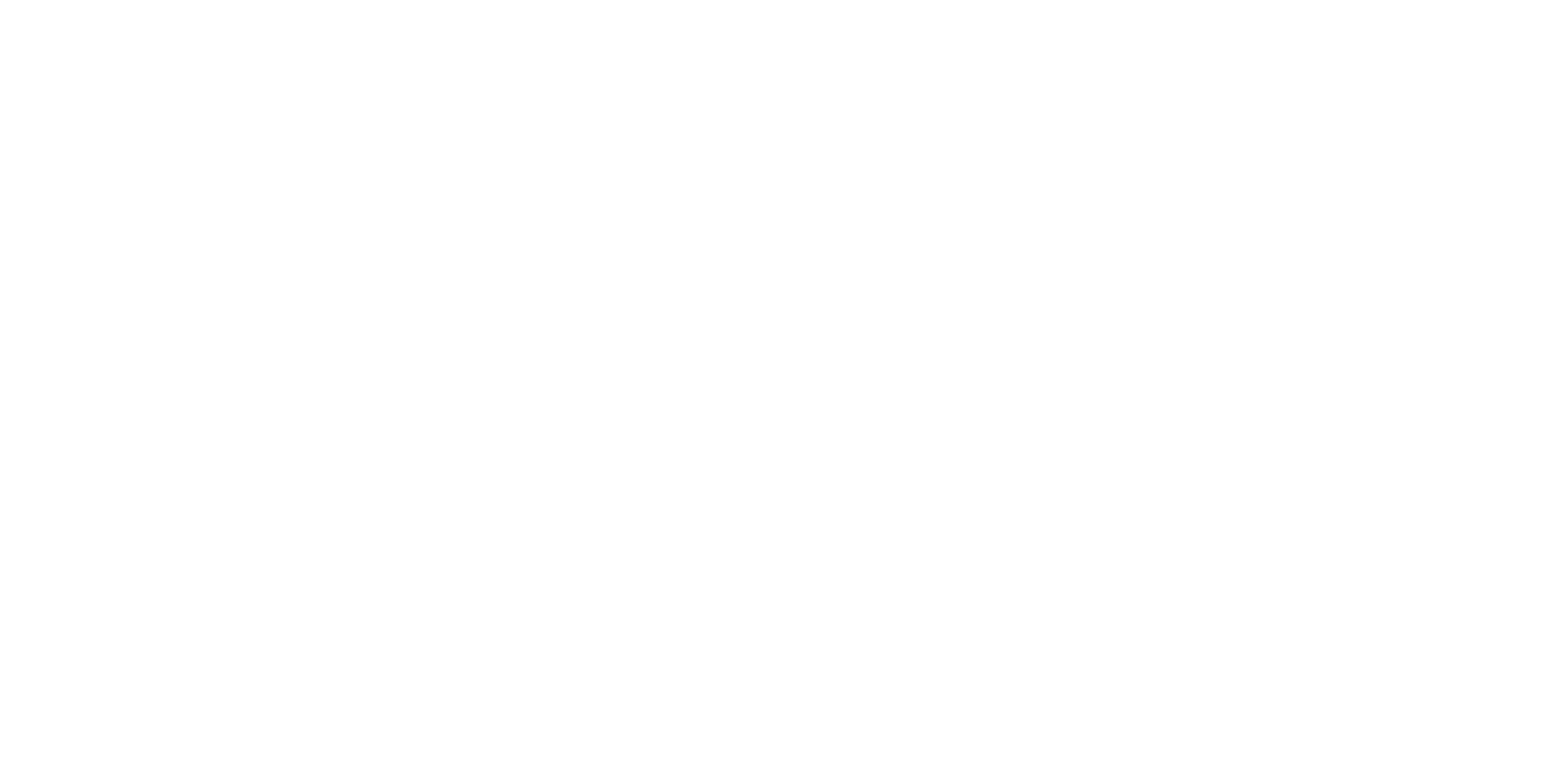BRICCODOLCE_logo_bianco